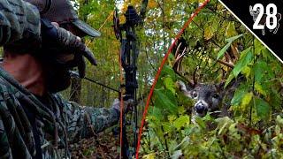 INDIANA PUBLIC LAND CHALLENGE! - Day 1: Big Buck at 20 Yards!