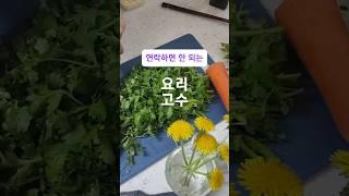 라면 누가 몸에 안좋다고 그래요? 고수 듬뿍넣으면 저속노화 건강라면 입니다. 고수먹을수록 중독되는 허브야채입니다. #라면 #야채듬뿍라면 #고수중독