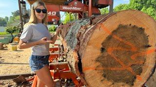 Will this Massive Red Oak log fit our SAWMILL?!! (Watch and Find out!)