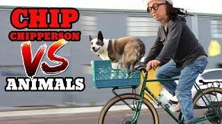 Chip vs Animals (Bike Tricks With a Puppy, Pet Tiger, Saving a Bird)