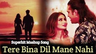 Tere Bina Dil Mane Nahi || Romantic Hindi Song || full hindi song