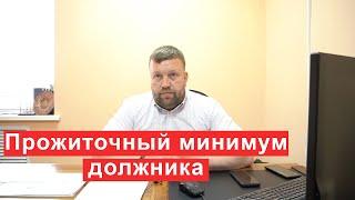 Прожиточный минимум для должника что нужно знать