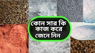 কোন সারের কি কাজ||  কোন সার কখন প্রয়োগ করবেন|| Which fertilizer work for what and how to use.