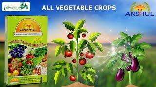 One Solution for Plant Nutrients - Anshul Vegetable Special #micronutrient #vegetablecrops