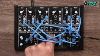 Plankton Electronics Ants! Mini Modular Synthesizer