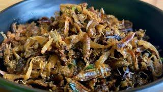 How to cook dragonfly larvae recipe || Naga Kitchen