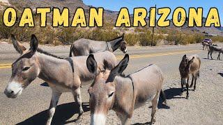 Oatman, Arizona on Route 66: Where the Wild Burros Roam