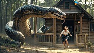 The female student was eventually eaten by the big snake | Snake Island Python | YOUKU MONSTER MOVIE