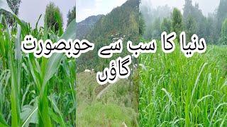 Duniya ka sub say Khubsurat gawn upper tanawal mansehra Kpk Pakistan|@malikarfeengohar6610 |#vlog