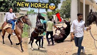 FINALLYFARM Pr New Horse Aane Waala Hai ( MEHNAT SAFAL ️)