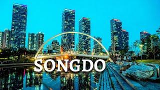 SONGDO CENTRAL PARK INCHEON SOUTH KOREA  [4K] - INCHEON NIGHT VIEW  - DREAM TRIPS