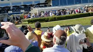 The "Best in Show", 2019 Pebble Beach Concours d'Elegance