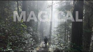 Amazing Woodland Photography | FujiFilm GFX100s | Checking out the Jackery Explorer 1000 v2