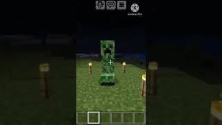 Minecraft wellerman edit : mob #shorts