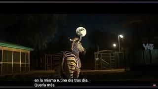 ICE AGE Live Action 2025 Teaser Trailer 20th Century Studios & Disney Plus
