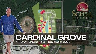 New Tour Cardinal Grove by Schell Brothers in Lewes, DE with Cory Mayo of Monument Sotheby's.