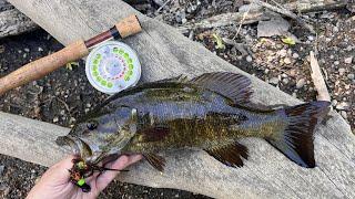 Fly Fishing, Centerpin Fishing & Spincasting For Bass Pike & Trout with Flies Jigs Spinners & Lures