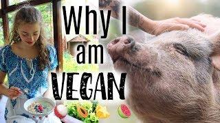 The Truth: Why I Went Vegan (non preachy!!) 