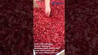 Автоматическая машина для резки и удаления семян перца чили