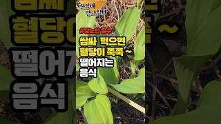 당뇨인 필수! 매일 쌈싸 먹으면 혈당이 쭉 떨어지는 음식 #건강 #건강정보 #당뇨 #혈당