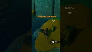1st Korok Seed, Exact Map Location!! Tears of the Kingdom.