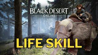 Kod: BDADECADEADVTURE - BDO Life Skill | Black Desert Online @Schrutify