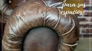muebles invitro