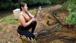 The girl created a unique fish trap that combines corn, eggs and bran to attract fish into the trap.