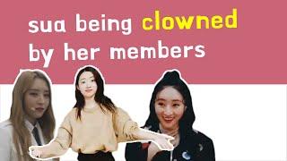 introducing sua being clowned by her members 