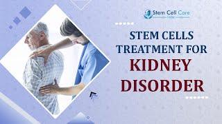 Mesenchymal stem cells reduce kidney damage. diabetic & renal failure | Stem Cell Treatment |