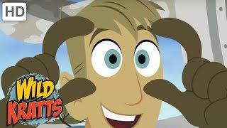 Wild Kratts - Amazing Animals With Special Features | Kids Videos