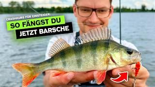 FANGGARANTIE - So fängst du Barsche im Sommer  