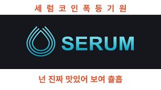 세럼코인 방어력 뭔데 도대체 예?? 예???????