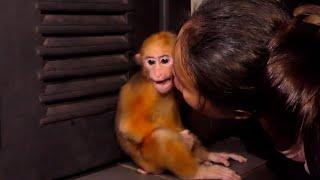 Rusty drop Tear Down Forever when Saw KT leave from Him at night in Wild | Rescue Abandoned Monkey