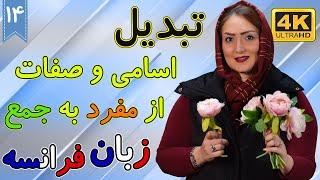 تبدیل اسامی و صفات مفرد به جمع | آموزش زبان فرانسه |  درس 14