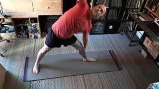 Day 4- Jon Venus 20 Minute Workout Challenge!  YOGA rest day. Vegan Woolly mammoth