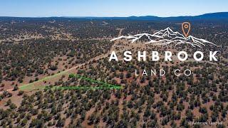 Northern Arizona Land for Sale • 1.43 Acres with Trees Next to State Land • Ashbrook Land Co