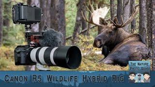 Canon R5 Wildlife Hybrid Rig | 8K Video + Photography