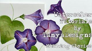 Watercolor Tutorial for Beginners, How to Paint Morning Glories step by step