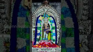 #murugan #muruganthunai #muruganarul #murugandevotes #arumugam #devotees #positivevibes #vadapalani