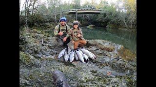 Another Awesome Day Of Coho Fishing! Catching Chrome Coho On Spinners. A Lot Of Action!!