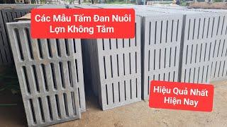 Các Mẫu Tấm Đan Nuôi Lợn Không Tắm Tiết Kiệm Chi Phí | Khởi Nghiệp TV