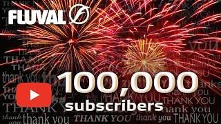 FLUVAL AQUATICS | Best of 100,000 Subscribers!