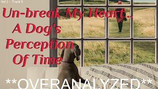 Overanalyzed - Un-Break My Heart...A Dog's Perception Of Time