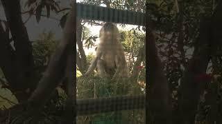 #viralvideo #youtubeshort #viral_short #santkrupa