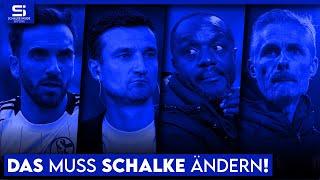 Trainer, Sportvorstand, Transfers, Fans: Das muss Schalke sofort ändern für Erfolg! | S04 Analyse