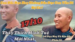 Thầy Thích Minh Tuệ Mới Nhất Full | Những Lời Dạy Hay Và Sâu Sắc Nhất Phần 56