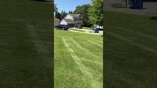 Lawn care stripes