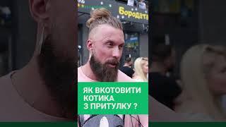 Актор, зоозахисник Олексій Суровцев відкрив притулок та ветеринарну клініку Бородата Котомамуля
