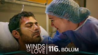 Rüzgarlı Tepe 116. Bölüm | Winds of Love Episode 116